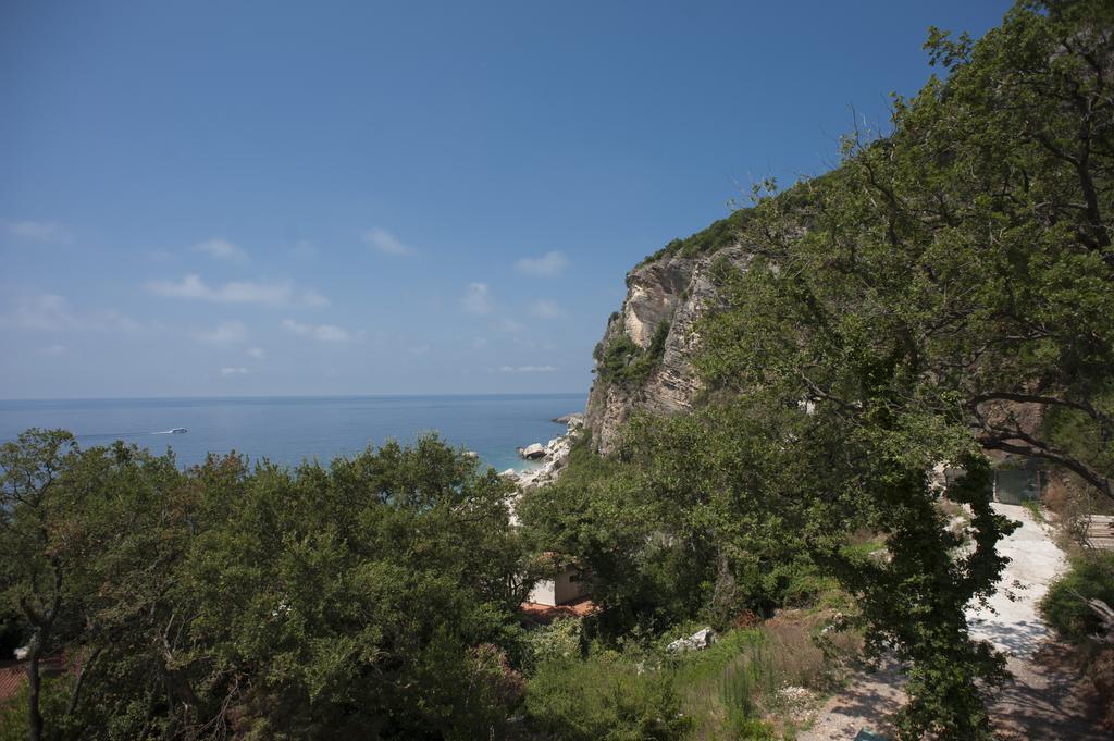 Apartments Villa Simonovic Petrovac Extérieur photo